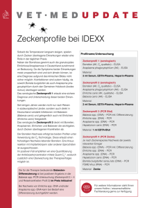 VET·MED UPDATE Zeckenprofile bei IDEXX