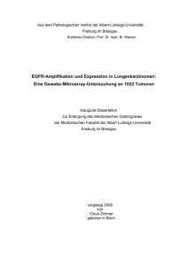 EGFR-Amplifikation und Expression in Lungenkarzinomen: Eine