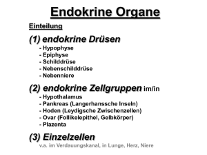 Endokrine Organe
