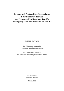 In vivo- und In vitro-DNA-Verpackung in virusähnliche Partikel des