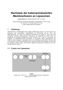 Nachweis der kationeninduzierten Membranfusion an Liposomen