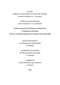 Untersuchung des Einflusses mütterlicher P.falciparum