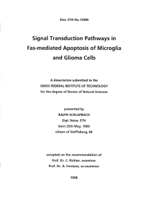 SignalTransductionPathwaysin - ETH E