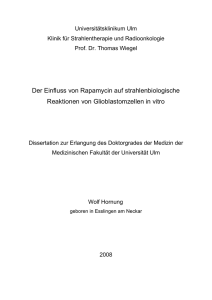 Der Einfluss von Rapamycin auf strahlenbiologische Reaktionen