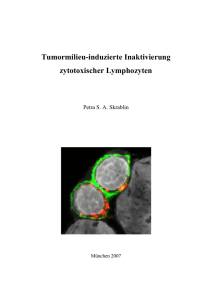 Tumormilieu-induzierte Inaktivierung zytotoxischer Lymphozyten