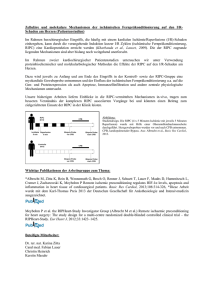 Zelluläre und molekulare Mechanismen der ischämischen