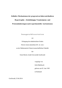 Zelluläre Mechanismen der progressiven linksventrikulären