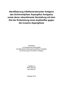 Identifizierung infektionsrelevanter Antigene des Schimmelpilzes