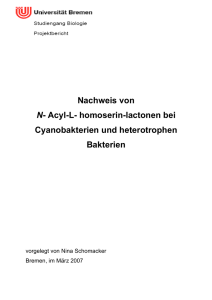 Nachweis von N- Acyl-L- homoserin