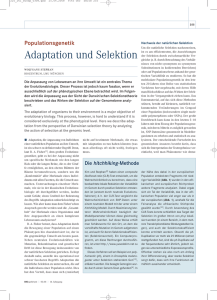 Adaptation und Selektion