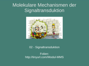 Molekulare Mechanismen der Signaltransduktion