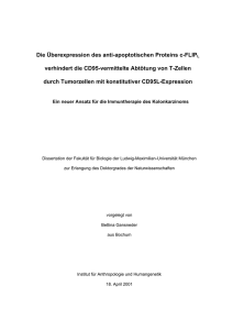 Die Überexpression des anti-apoptotischen Proteins c