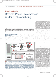 Reverse Phase-Proteinarrays in der Krebsforschung