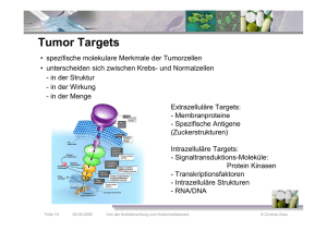 Tumor Targets - Heidelberger Life