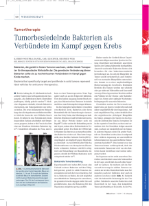 Tumorbesiedelnde Bakterien als Verbündete im