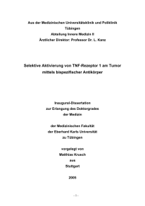 Selektive Aktivierung von TNF-Rezeptor 1 am Tumor mittels