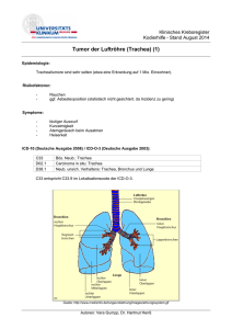 Tumor der Luftröhre (Trachea) (1)