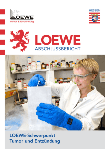 LOEWE-Schwerpunkt Tumor und Entzündung