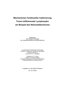 Mechanismen funktioneller Inaktivierung Tumor