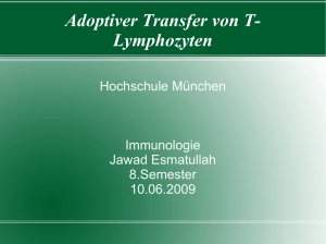 Adoptiver Transfer von T- Lymphozyten