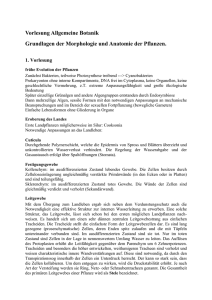 Vorlesung Allgemeine Botanik Grundlagen der Morphologie und