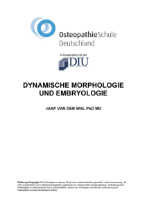 dynamische morphologie und embryologie