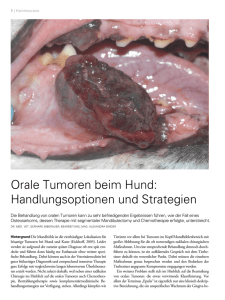 Orale Tumoren beim Hund - Kleintier