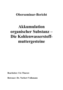 Akkumulation organischer Substanz – Die Kohlenwasserstoff