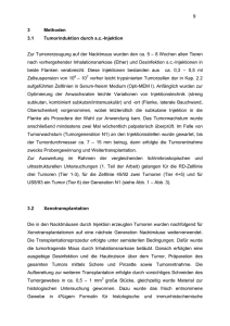 9 3 Methoden 3.1 Tumorinduktion durch s.c.