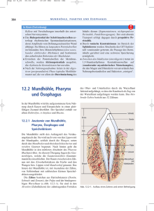 12.2 Mundhöhle, Pharynx und Ösophagus