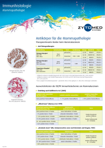 Antikörper für die Mammapathologie