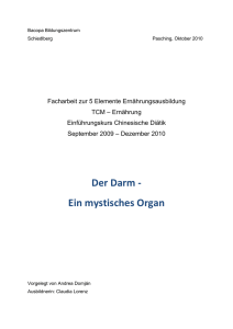 Der Darm - Ein mystisches Organ