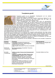 Toxoplasma gondii - NovaTec Immundiagnostica GmbH