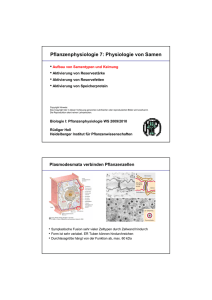 Pflanzenphysiologie 7: Physiologie von Samen
