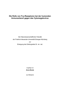 Anna_Bootz_Dissertation_Veröffentlichung - OPUS 4