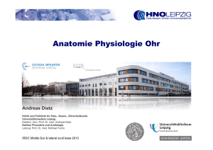 Anatomie Physiologie Ohr - Klinik und Poliklinik für Hals