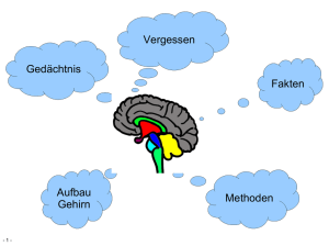 Fakten Methoden Aufbau Gehirn Gedächtnis