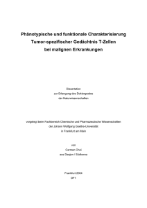 Phänotypische und funktionale Charakterisierung Tumor