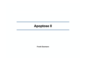 Apoptose II