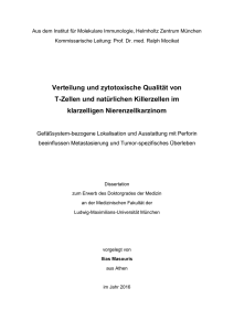 Verteilung und zytotoxische Qualität von T