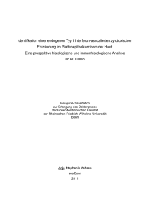 pdf-Dokument - Universität Bonn