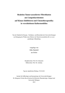 Reaktion Tumor-assoziierter Fibroblasten aus Lungenkarzinomen