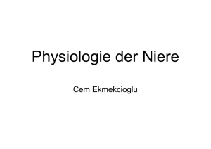 Physiologie der Niere
