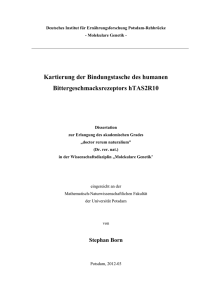 Kartierung der Bindungstasche des humanen