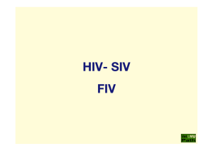 19_HIV_FIV_(Immundefizienz