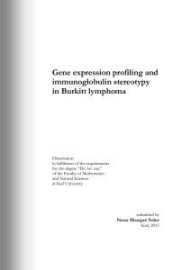 Gene expression profiling and immunoglobulin stereotypy