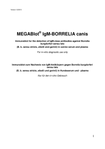 MegaBlot IgM-BORRELIA canis