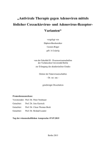 Antivirale Therapie gegen Adenoviren mittels