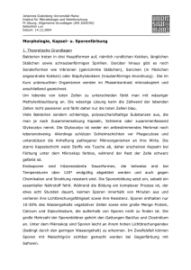 A 8. Morphologie, Kapsel - Johannes Gutenberg
