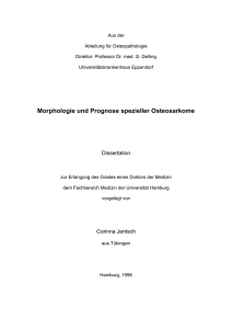 Morphologie und Prognose spezieller Osteosarkome